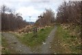 Footpath by Cow Hill to Glen Nevis