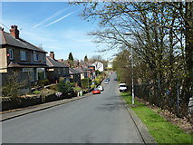 SE1315 : Thornfield Road , Lockwood by Peter Bond