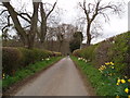 Country road near Knapp