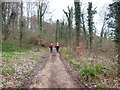 The Cotswold Way near Crayfield Farm