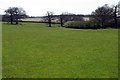 Landscaped pasture by Linshire Farm