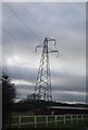 Pylon by Fore St