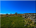 Sheepfold by Ardachie Fell