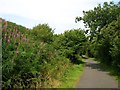 SM9409 : Brunel Trail cycle path near Rosemarket by Simon Mortimer