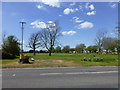 Grounds at the front of Walnut Tree Caravan Park