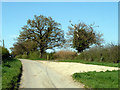 Private road to Great Cowbridge Grange Farm