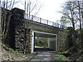 Bridge over railway trail, Pelton Fell