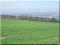 Farmland near Kibblesworth