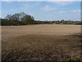 Large field at Ackbury Heath