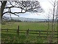 Pasture near The Chirm