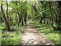 The Thames Path approaching Cookham