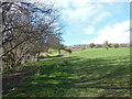 The Cotswold Way towards Jenkin