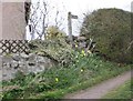 Footpath to Etal