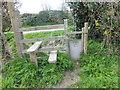 Footpath stile with dog gate