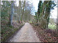 The Cotswold Way along Stockend (road)