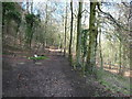 The Cotswold Way at Stockend Wood