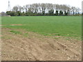 Fields north of Tormarton