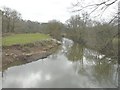 The Tamar from Boytonbridge