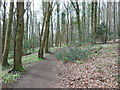 Heading towards the Cotswold Way