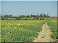 Footpath near Partridgegreen