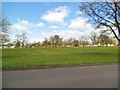 Pelsall Common View