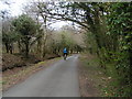 On National Cycle Route 27 heading into Yelverton