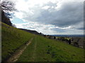 The Cotswold Way near Woodside Farm