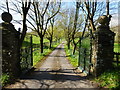 The drive to "Rossfield", Howick, near Chepstow