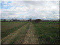 Farm  track  and  Bridleway  from  South  Holme  Farm