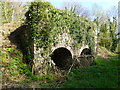 Disused lime kilns, Cockshoot Wood, near Chepstow