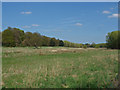 TQ0153 : Sutton Park by Alan Hunt