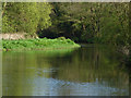 River Wey Navigation, bend