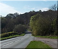 Road from Bream to Lydney