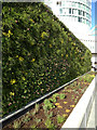 SP0786 : Planted screen wall and raised bed, Worcester Walk by Robin Stott