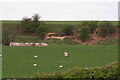 Earthworks and a quarry bank near Binbrook Walk  House