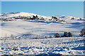 Looking Towards Balcharn