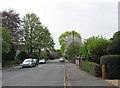 Sedley Taylor Road: spring at last