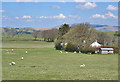 Sheep grazing on Waun-yr-adar