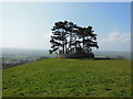 The Cotswold Way at Wotton Hill