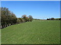 Pasture North West of Icklesham