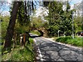 Bridge over the lane to Hertingfordbury