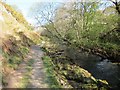 Llwybr glanafon Dysynni riverside path