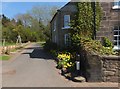 Very narrow minor road leading east from Powburn