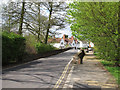 Bridge over the River Pant, Great Bardfield