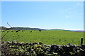 Farmland near Cairnhandy