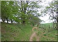 Public footpath to Tynely