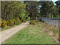SU9261 : Range fence, Brentmoor Heath by Alan Hunt