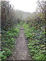 The Cotswold Way towards Blackquarries Hill