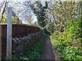 Bridleway near youth hostel, Wooler