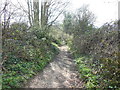 The Cotswold Way towards Alderley